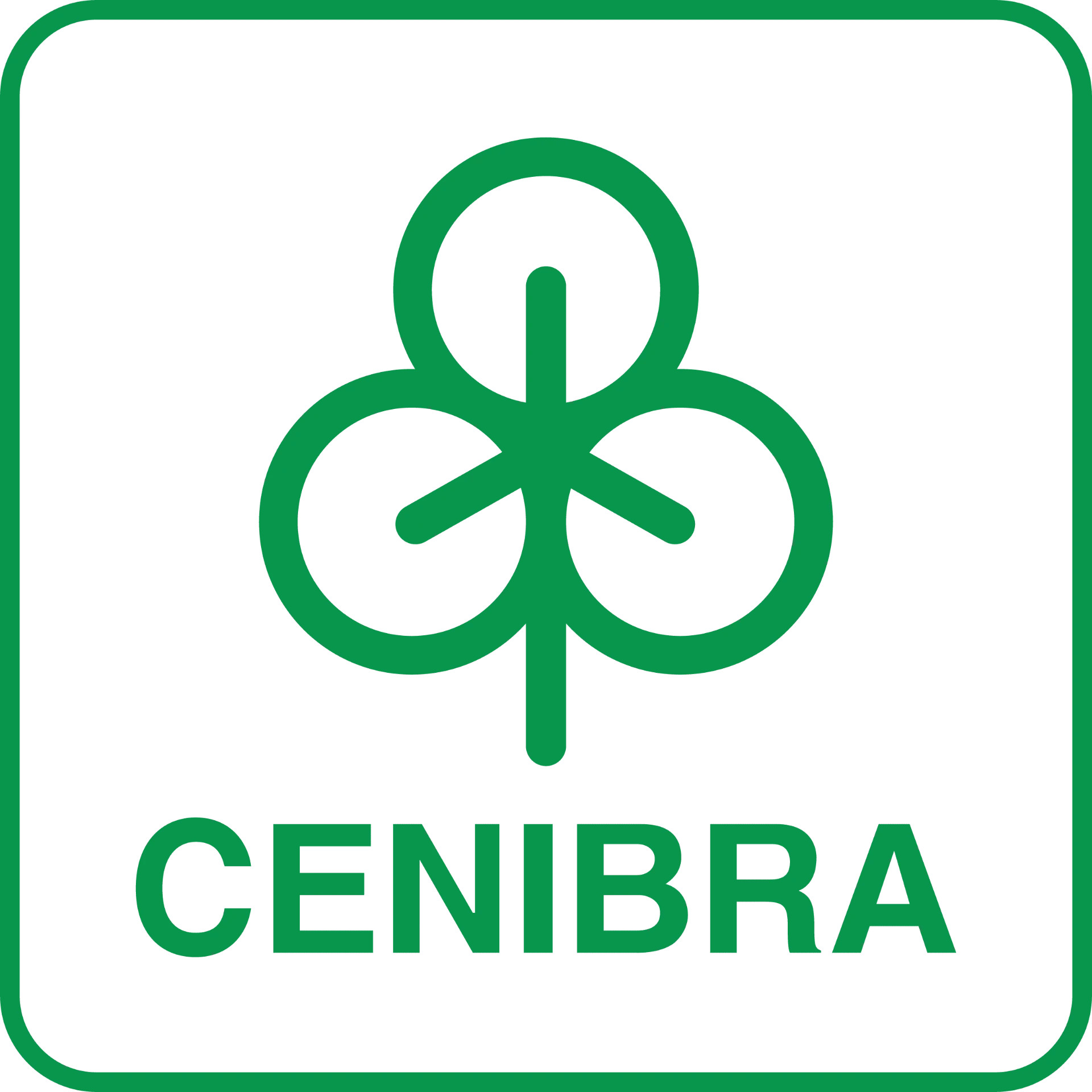 Logotipo Cenibra — experiência do corpo técnico em projetos industriais